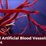 Innovations in Artificial Blood Vessels Market: Future of CVD Care